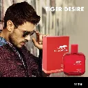 Tiger-Desire-1c_1024x1024.webp
