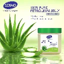 AloeVera01_2d29f8ea-26bd-41ff-822a-2e809e66a5db.webp